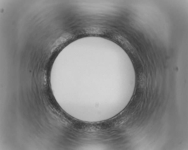 X0000089390731200707061203