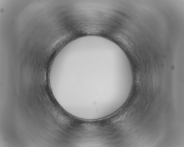 X0000089390733200707061203