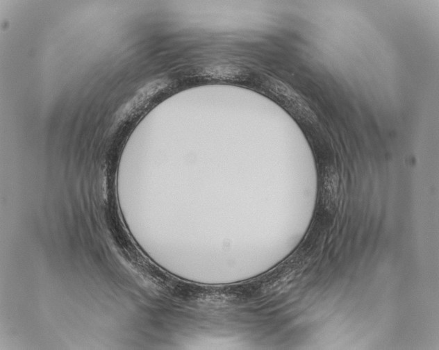 X0000089390734200707061203