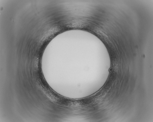 X0000089390735200707061203