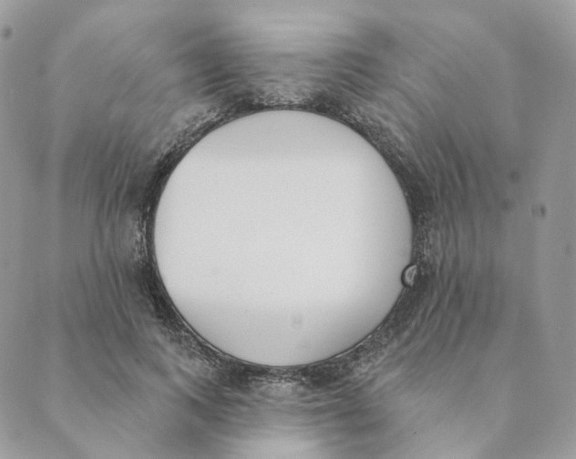X0000089390743200707061203