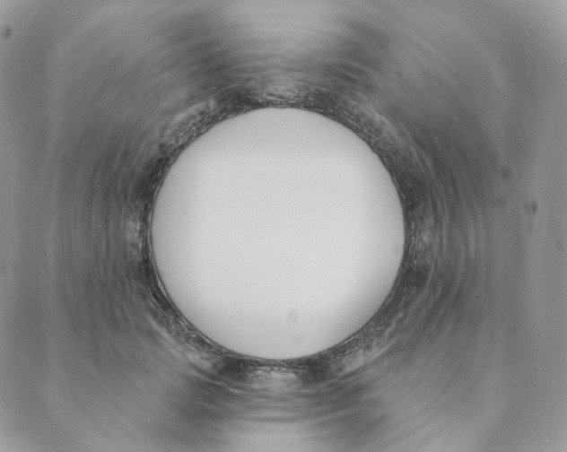X0000089390749200707061203