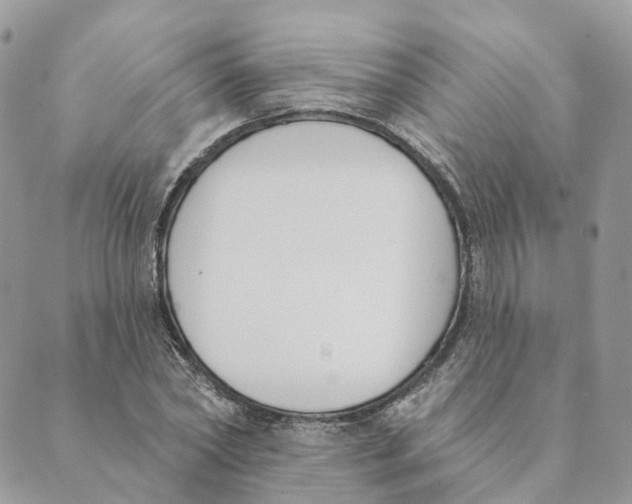 X0000089390782200707061203