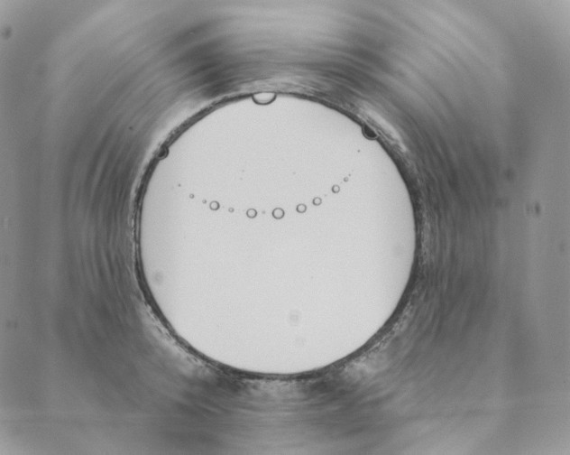 X0000089390800200707061202