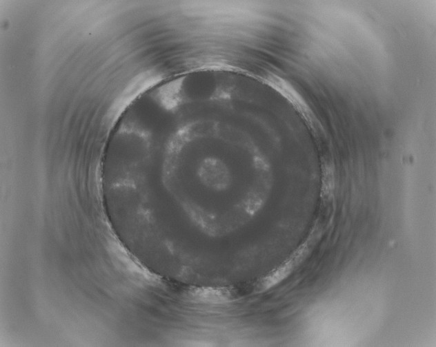 X0000089390806200707061202