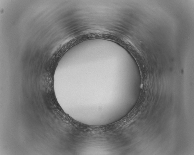 X0000089390822200707061201