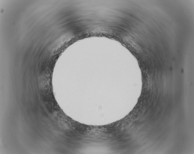 X0000089390824200707061201
