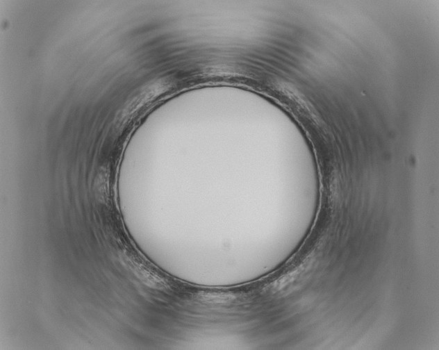 X0000089390825200707061201
