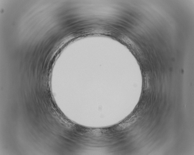 X0000089390828200707061201
