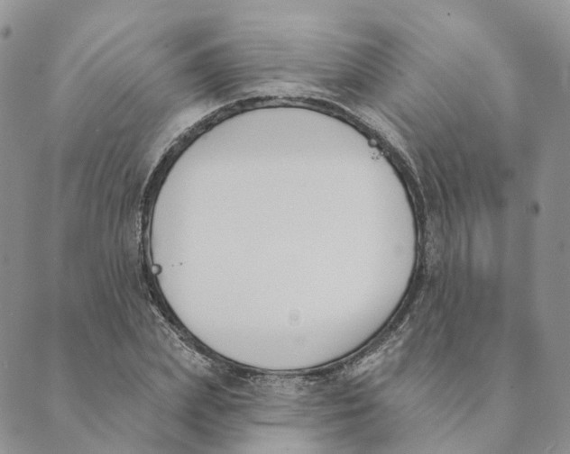 X0000089390831200707061201