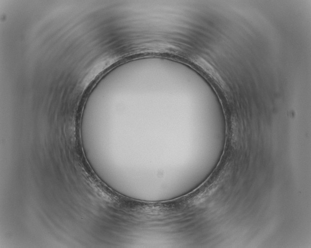 X0000089390834200707061202