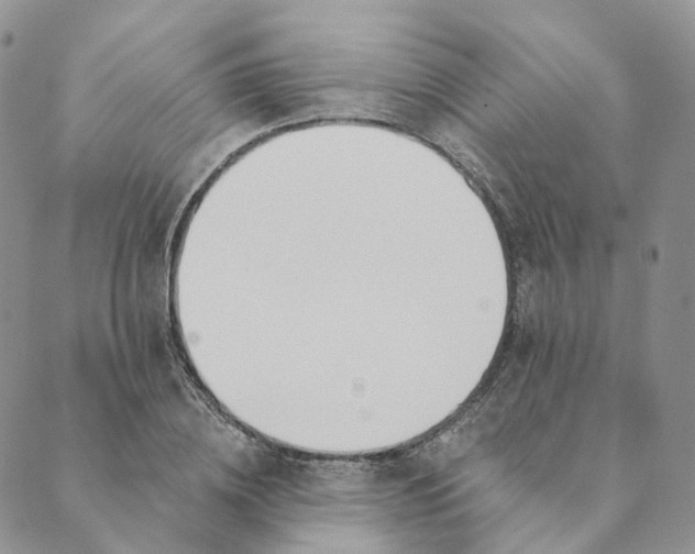 X0000089390836200707061202