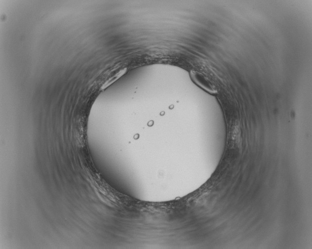X0000089390868200707061201