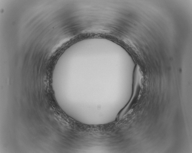 X0000089390872200707061201