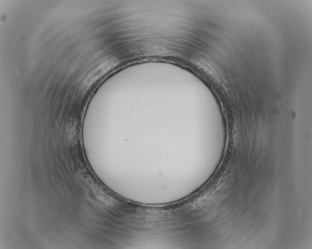 X0000089390873200707061201