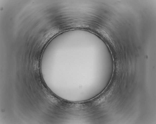 X0000089390881200707061201
