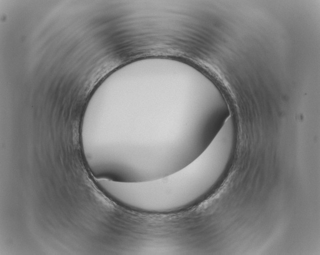 X0000089390889200707061201