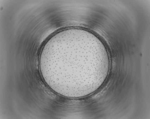 X0000089390925200707061200