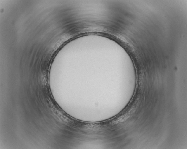 X0000089390929200707061200