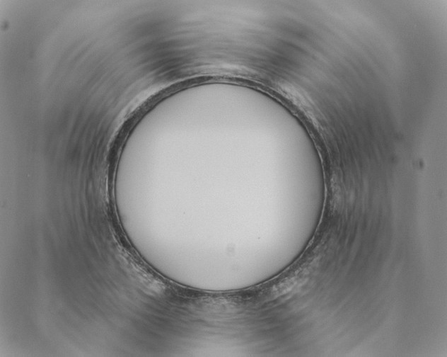 X0000089390931200707061200