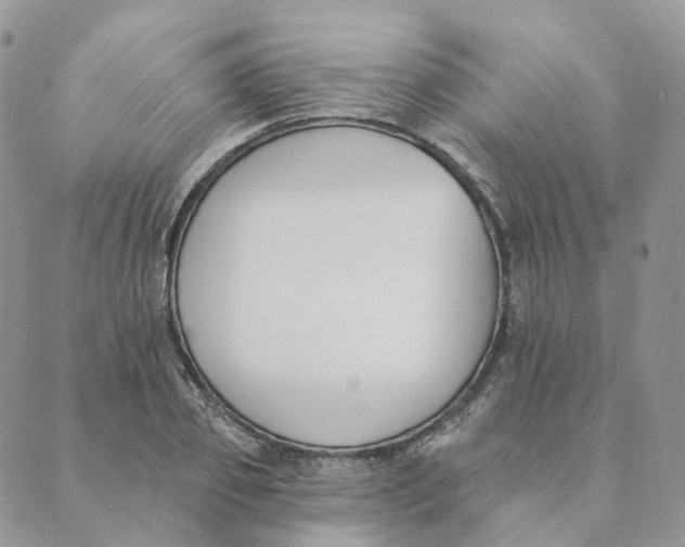 X0000089390933200707061200