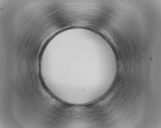 X0000089390939200707061200