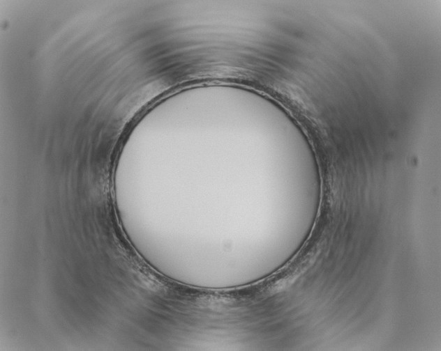 X0000089391073200707061158