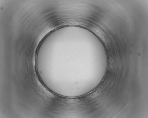 X0000089391084200707061158