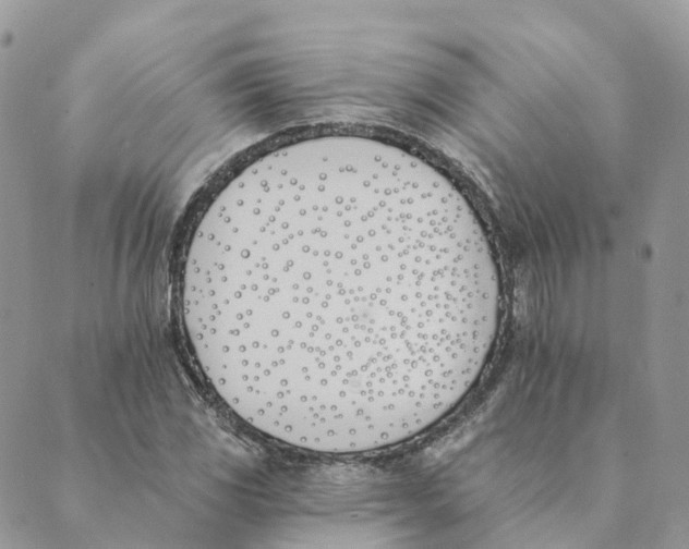 X0000089391117200707061157