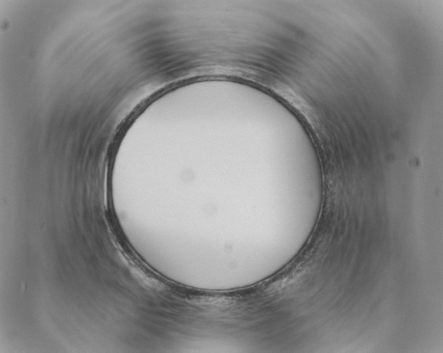 X0000089391127200707061157