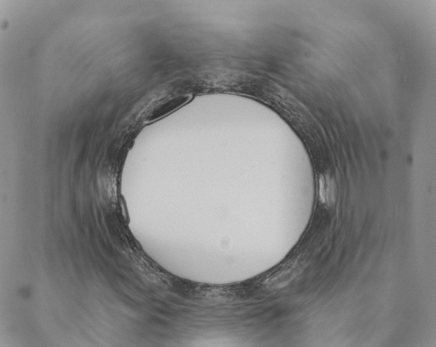 X0000089391155200707061157