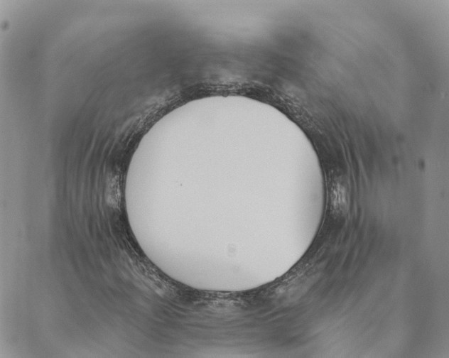 X0000089391204200707061155