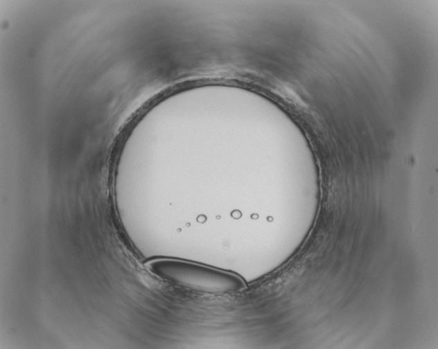 X0000089391216200707061155