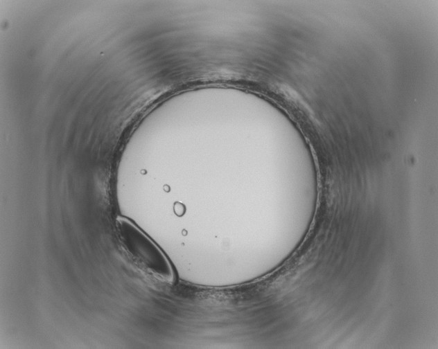 X0000089391217200707061155