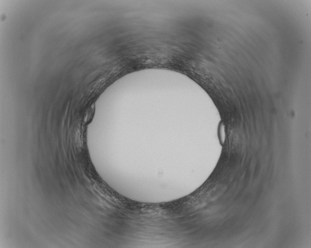X0000089391250200707061155