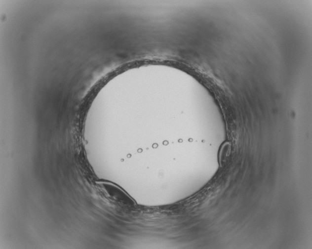 X0000089391256200707061155