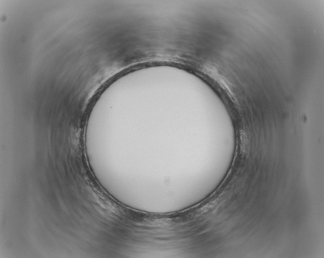 X0000089391260200707061155