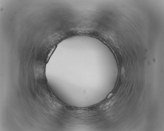 X0000089391300200707061154