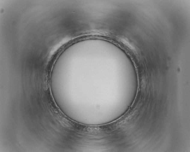 X0000089391310200707061154