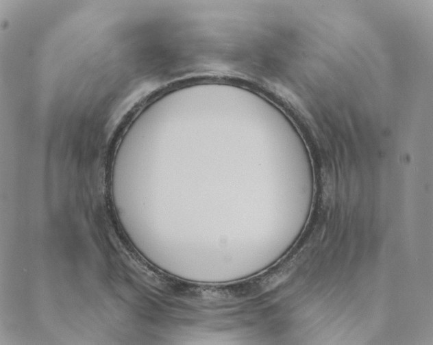 X0000089391318200707061154