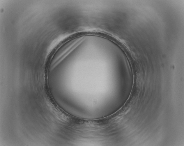 X0000089391319200707061154