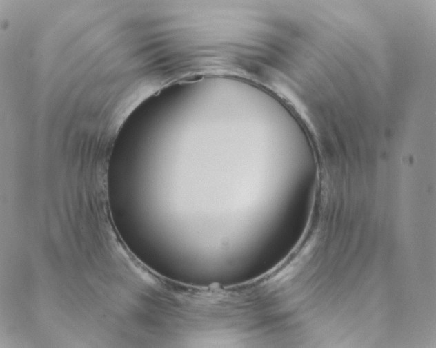 X0000089391385200707061153