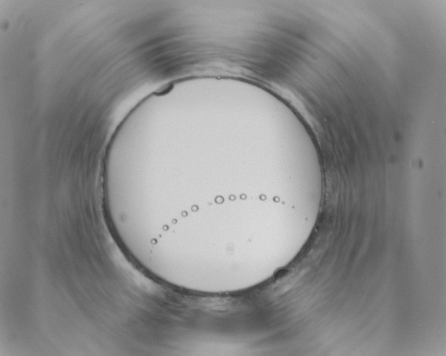 X0000089391387200707061153