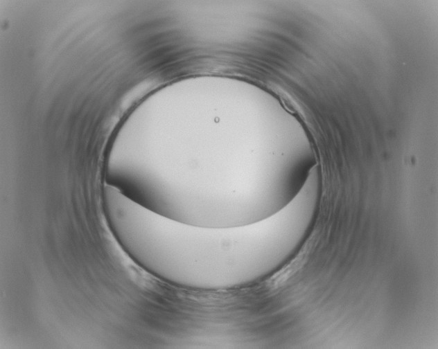 X0000089391434200707061153