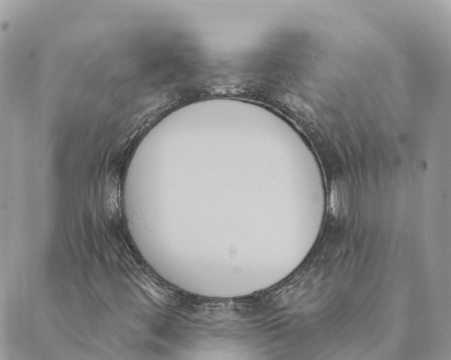 X0000089391444200707061152