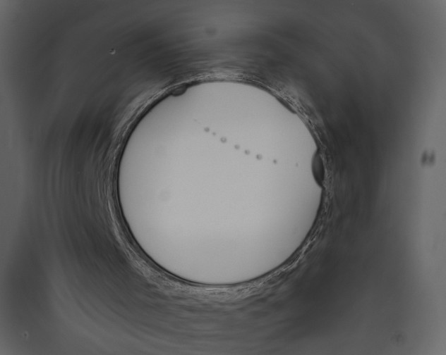 X0000089390001200707131729