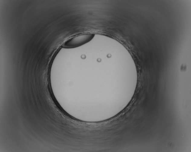 X0000089390002200707131729