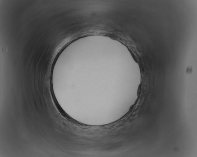 X0000089390003200707131729