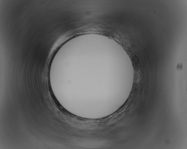 X0000089390004200707131729