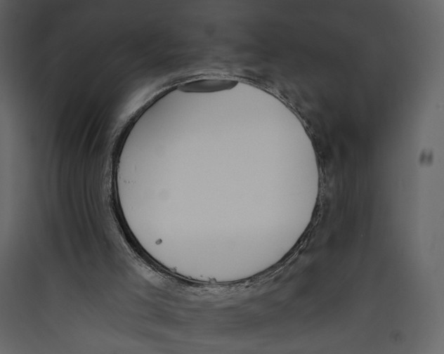 X0000089390005200707131729